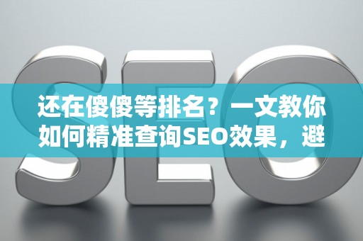 还在傻傻等排名？一文教你如何精准查询SEO效果，避开那些‘假’工具！