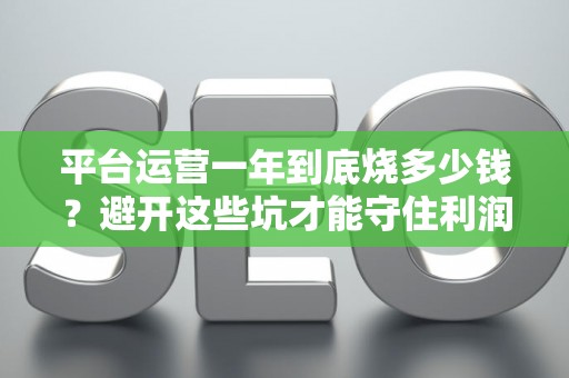平台运营一年到底烧多少钱？避开这些坑才能守住利润