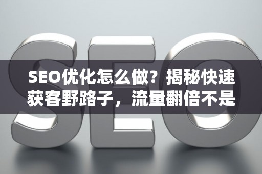 SEO优化怎么做？揭秘快速获客野路子，流量翻倍不是梦！