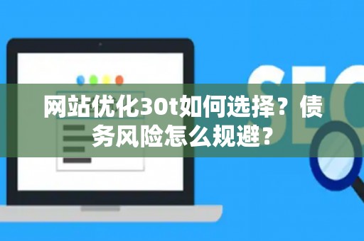 网站优化30t如何选择？债务风险怎么规避？