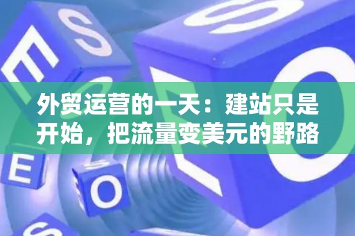 外贸运营的一天：建站只是开始，把流量变美元的野路子