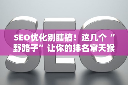 SEO优化别瞎搞！这几个“野路子”让你的排名窜天猴似的往上飙！